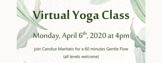 04/06/20 “Virtual Yoga Class”